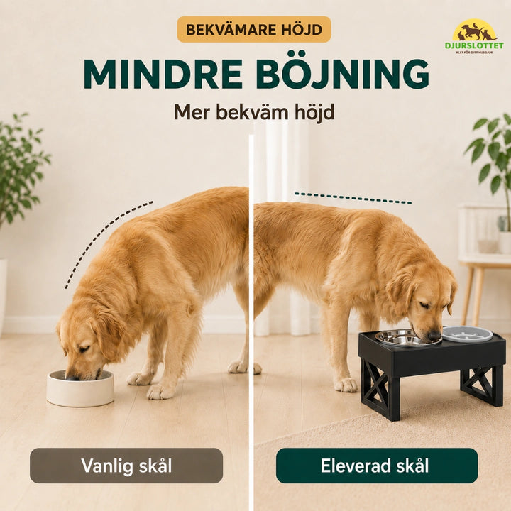 Justerbar Upphöjd Matskål mindre bojning - Djurslottet