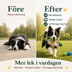 Kampleksaker 10 pack vs efter - Djurslottet