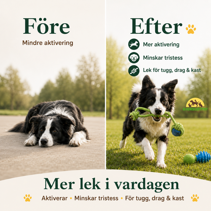 Kampleksaker 10 pack vs efter - Djurslottet