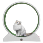 Katthjul & motionshjul för Katt - Djurslottet