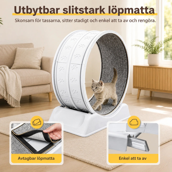 Katthjul Utbytbar Slitstark - Djurslottet