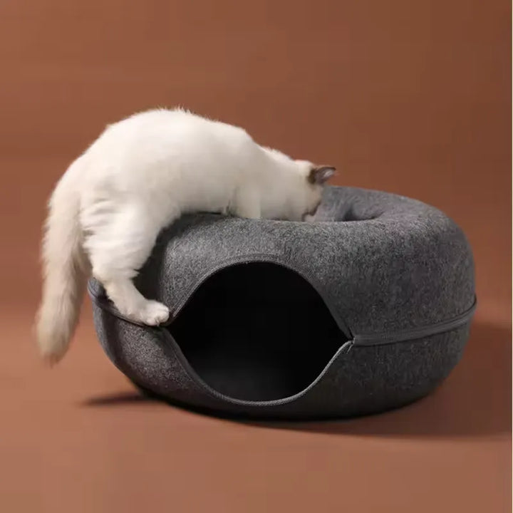 Katt som leker med munkkattsängen