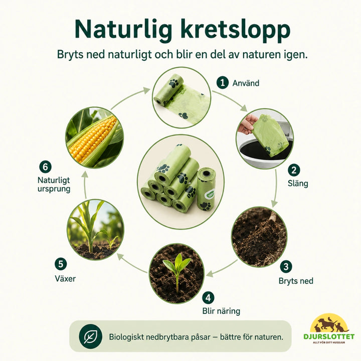 Kattspade med hållare naturlig kreslopp - Djurslottet