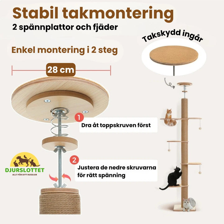 Klösträd golv till tak med justerbar 2 spännplattor och fjäder - Djurslottet