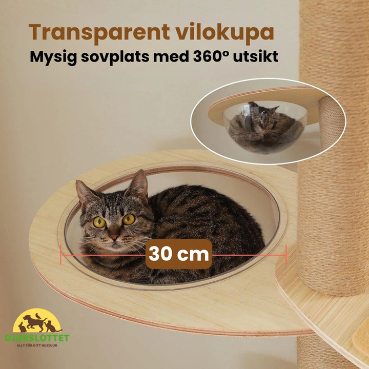 Klösträd golv till tak med justerbar höjd Transparent vilokupa - Djurslottet