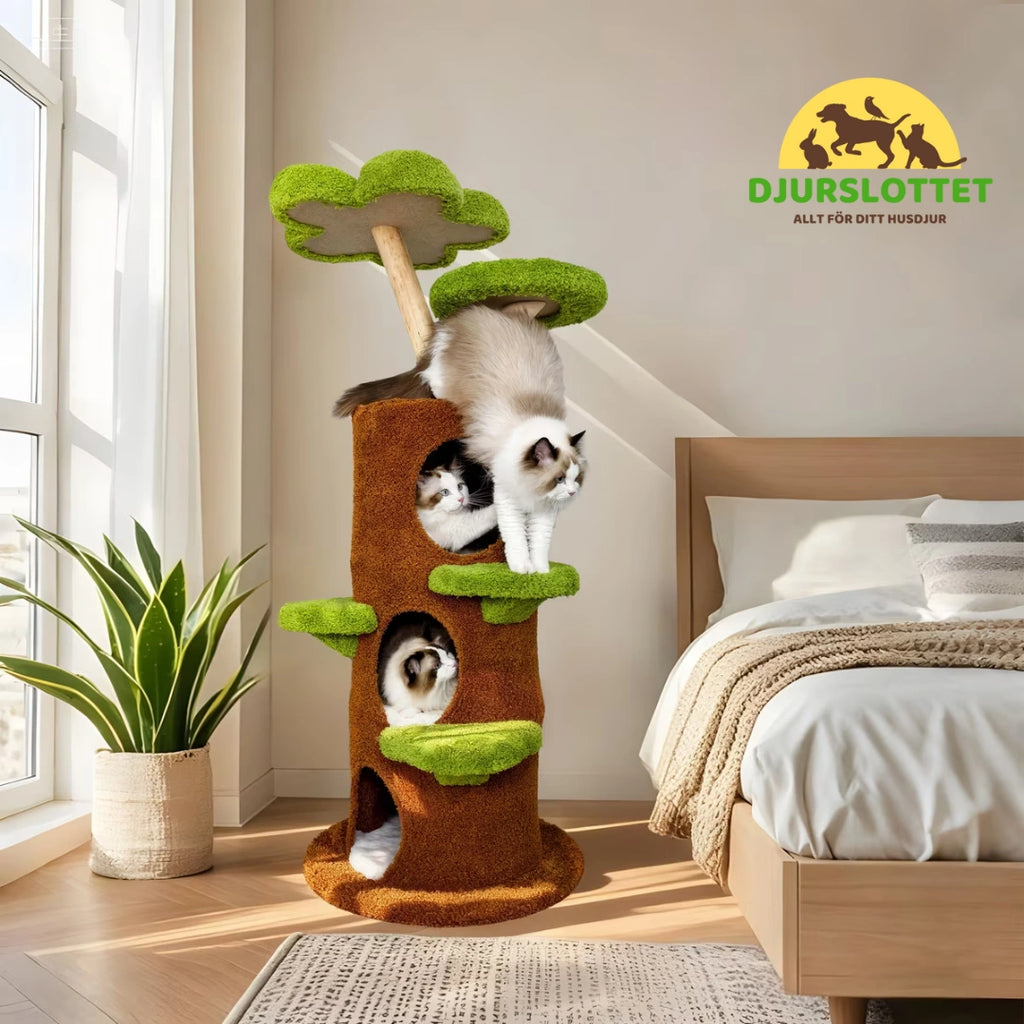 Klösträd i massivt trä Ger katten en naturlig klätterväg och gör leken smidig och rolig - Djurslottet