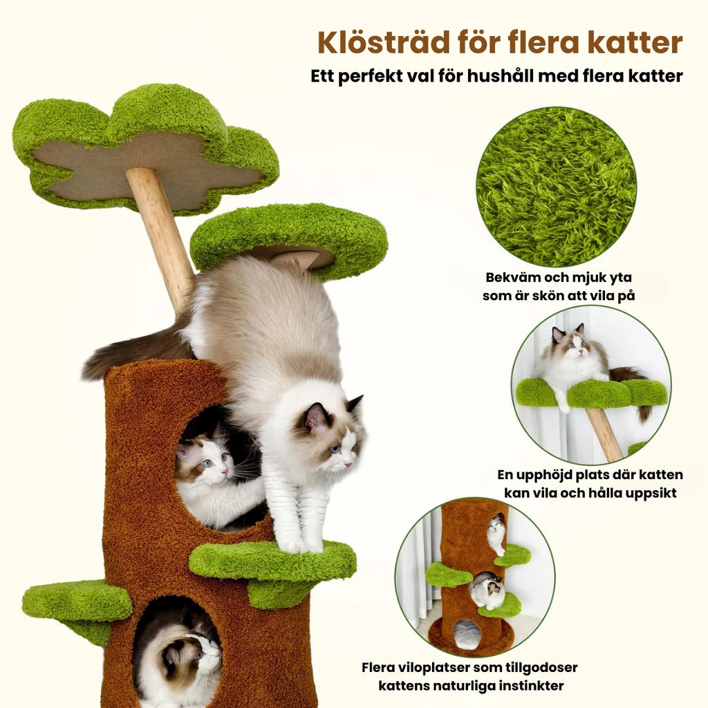 Klösträd i massivt trä Klösträd för flera katter - Djurslottet