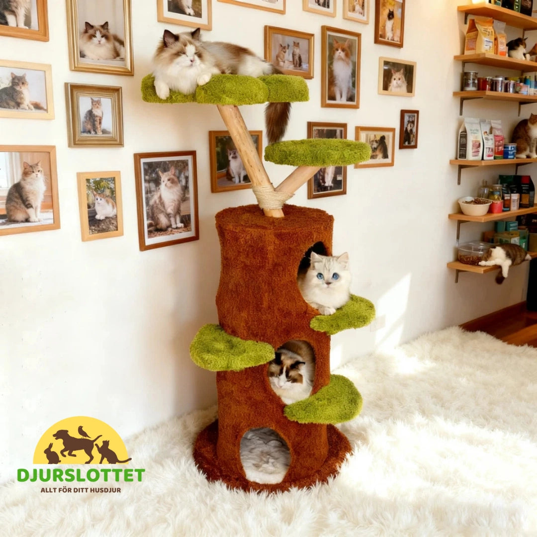 Klösträd i massivt trä Rymligt kattbo - Djurslottet