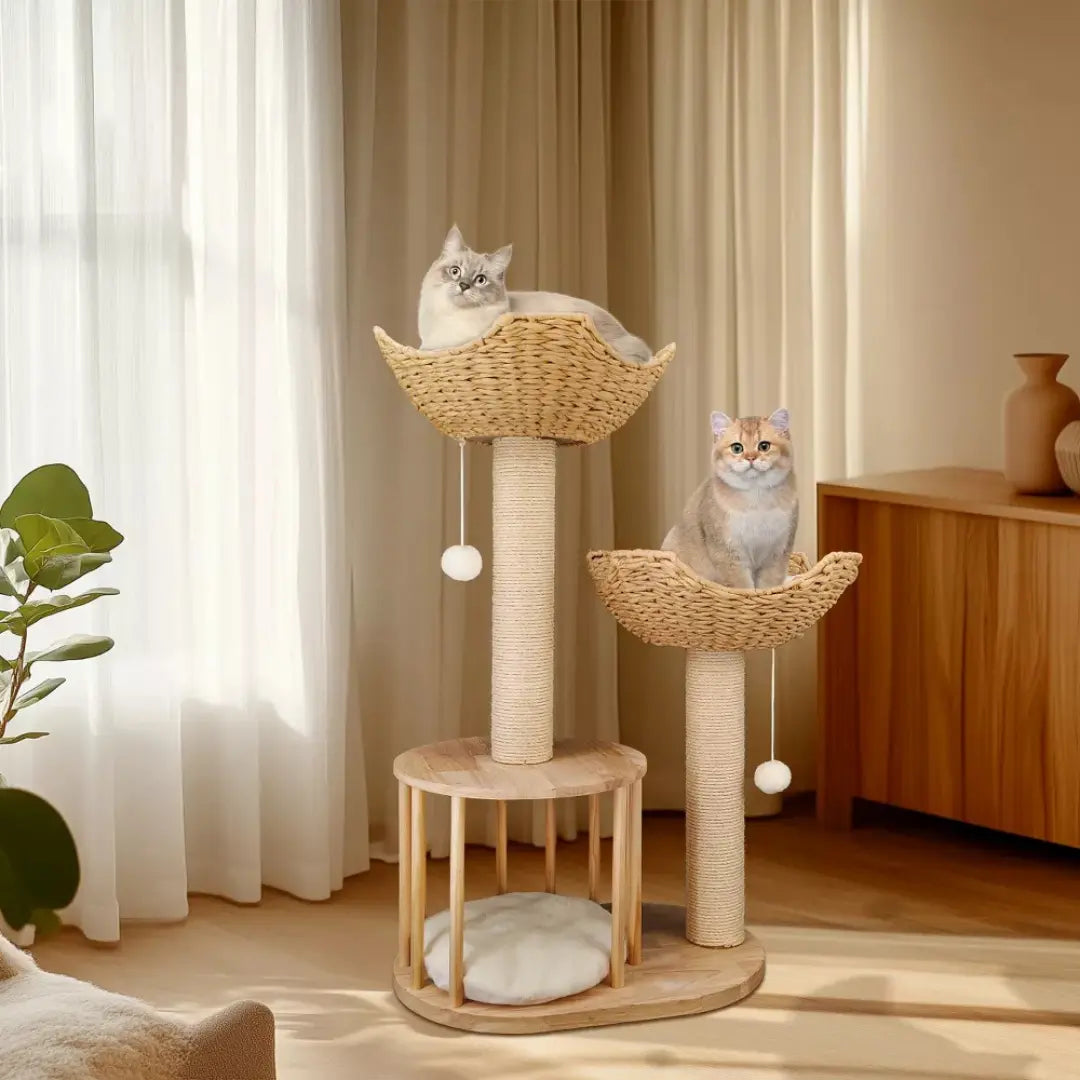 Klösträd i naturträ med korg och koja Skapa trygghet och aktivitet för din katt - Djurslottet