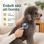 Klickborste enkelt satt att borsta- Djurslottet