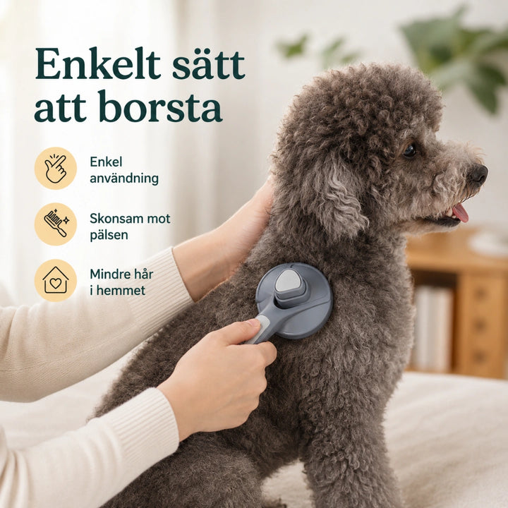 Klickborste enkelt satt att borsta- Djurslottet