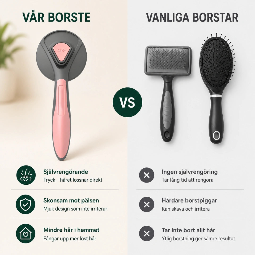 Klickborste vanliga - Djurslottet