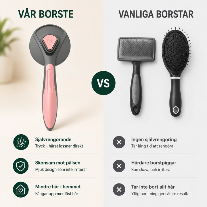 Klickborste vanliga - Djurslottet