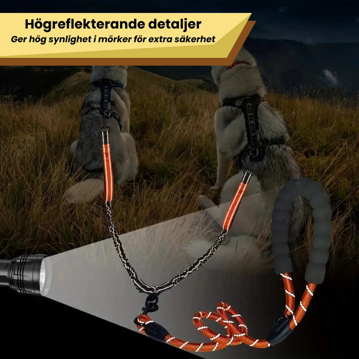 Koppel För Två Hundar, 
Hundkoppel För Två Hundar, Reflekterande Dubbelkoppel - Djurslottet
