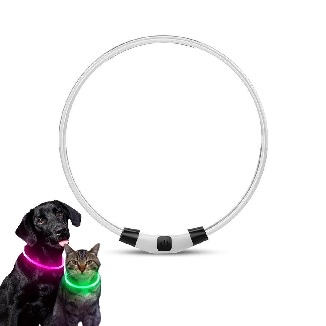LED Halsband för Hund & Katt - Djurslottet