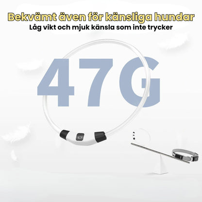 LED Halsband för Hund & Katt Bekvämt även för känsliga hundar - Djurslottet