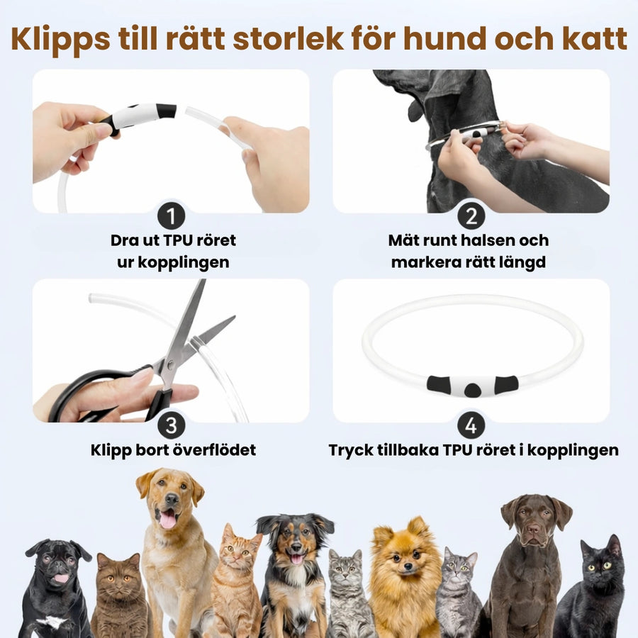 Mått för MultiGlow LED-halsband