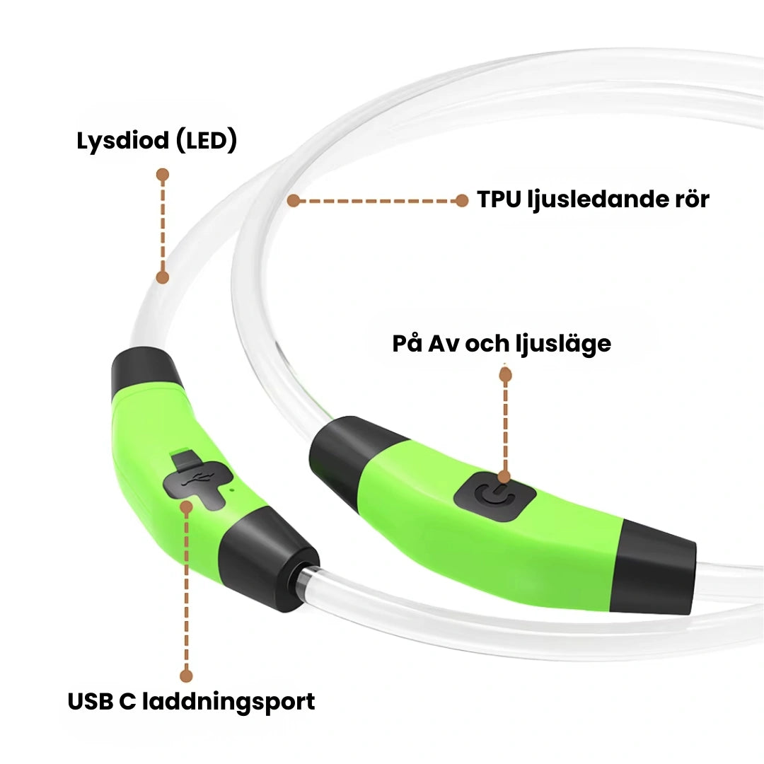 LED Halsband för Hund & Katt Lysdiod (LED) - Djurslottet
