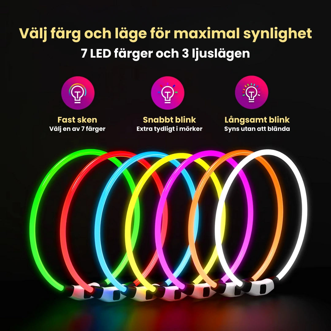 LED Halsband för Hund & Katt Välj färg och läge för maximal synlighet - Djurslottet