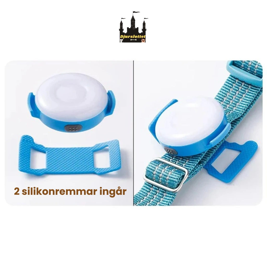LED Ljus för Hundsele 2 silikonremmar ingår - Djurslottet