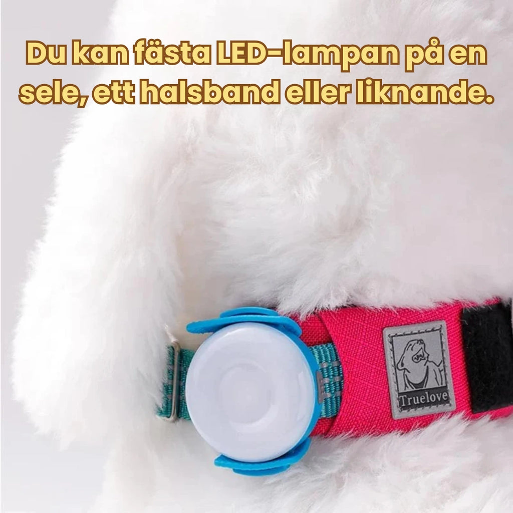 LED Ljus för Hundsele Du kan fästa LED-lampan på en sele, ett halsband eller liknande. - Djurslottet