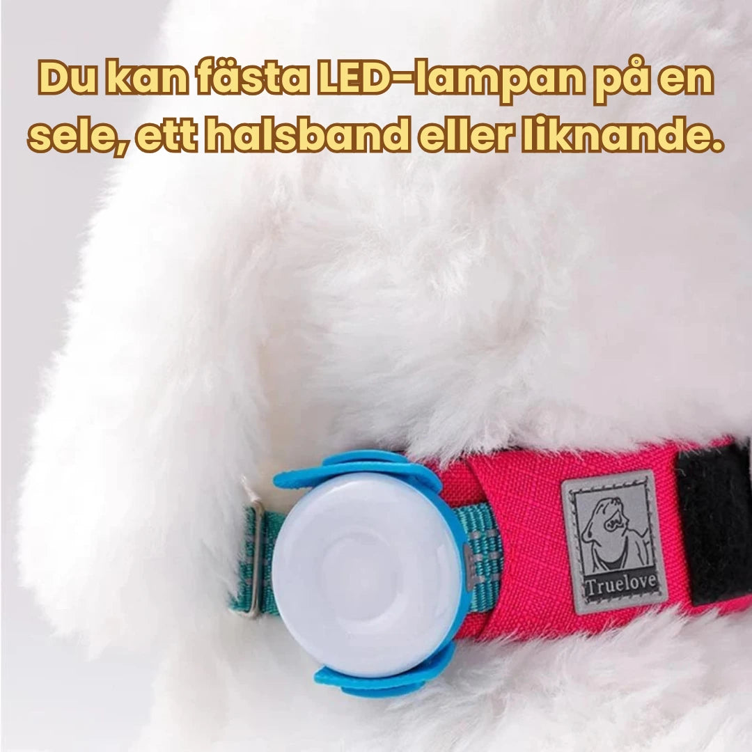 LED Ljus för Hundsele Du kan fästa LED-lampan på en sele, ett halsband eller liknande. - Djurslottet