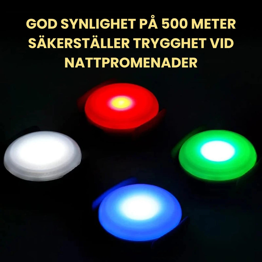 LED Ljus för Hundsele GOD SYNLIGHET PÅ 500 METER SÄKERSTÄLLER TRYGGHET VID NATT­PROMENADER - Djurslottet
