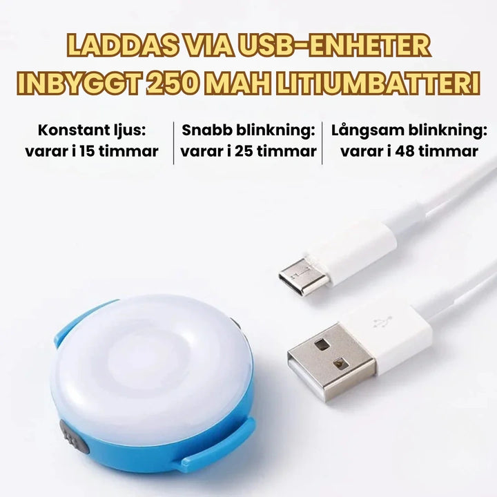 LED Ljus för Hundsele LADDAS VIA USB-ENHETER INBYGGT 250 MAH LITIUMBATTERI Djurslottet