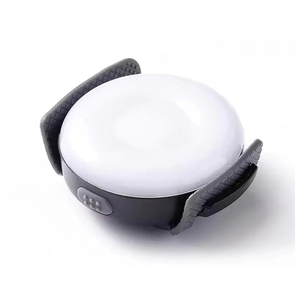 LED Ljus för Hundsele Svart - Djurslottet