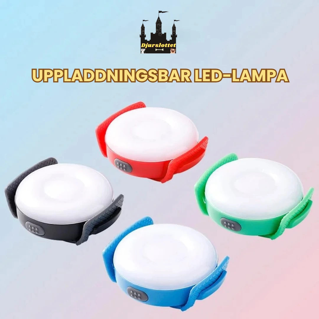 LED Ljus för Hundsele UPPLADDNINGSBAR LED-LAMPA - Djurslottet