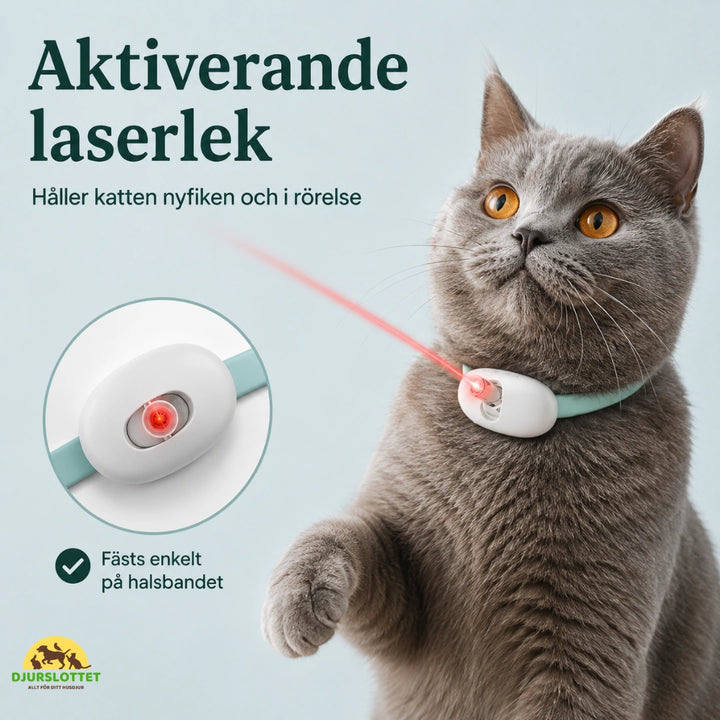 Laserhalsband aktiverande - Djurslottet