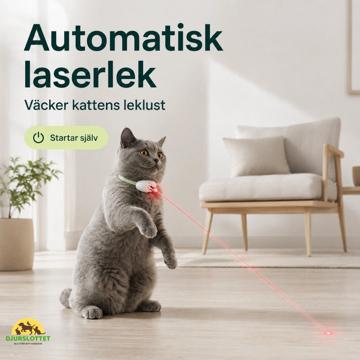 Laserhalsband automatisk - Djurslottet