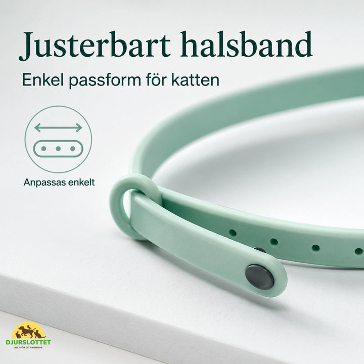 Laserhalsband enkel passform for katten - Djurslottet