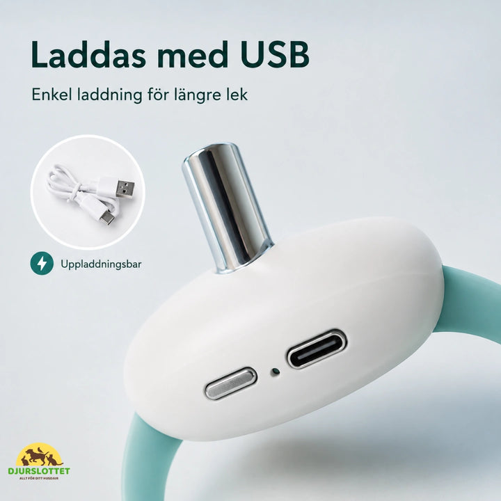 Laserhalsband laddas med usb - Djurslottet