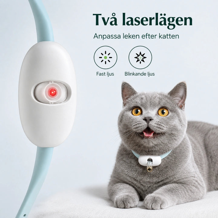 Laserhalsband tva laserlagen - Djurslottet