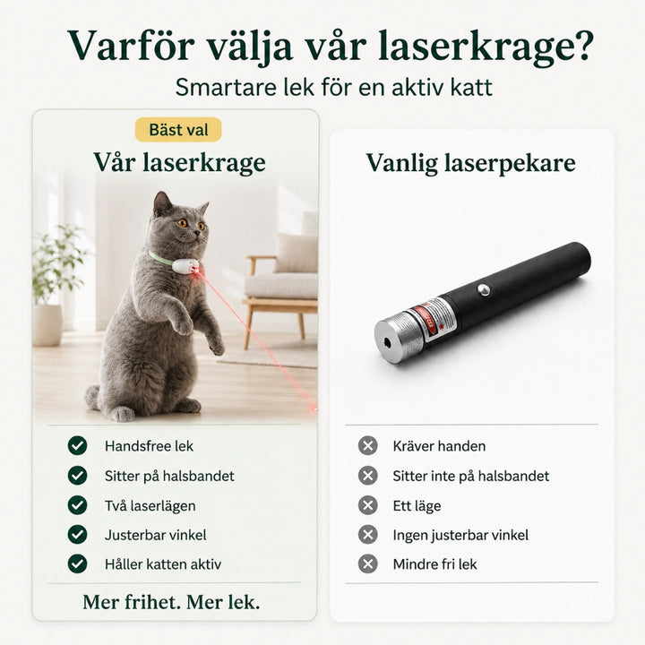 Laserhalsband vs vanlig - Djurslottet