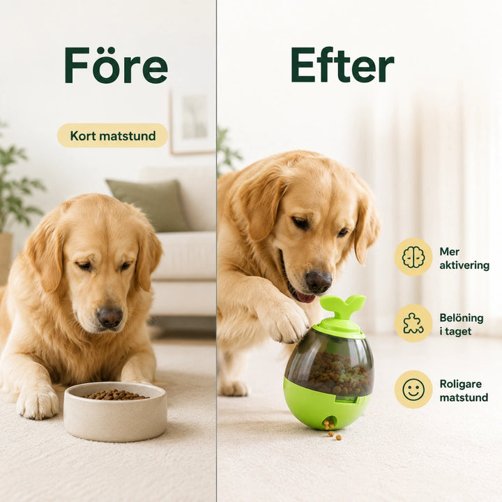 Leaky feeder vs efter - Djurslottet