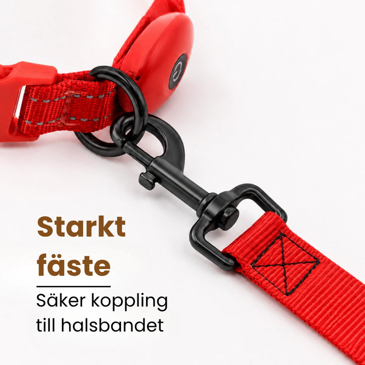 Led lysande koppel Starkt fäste - Djurslottet
