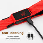 Led lysande koppel USB-laddning - Djurslottet