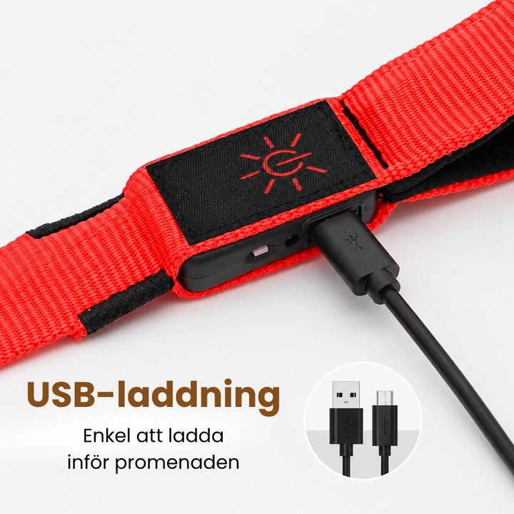 Led lysande koppel USB-laddning - Djurslottet