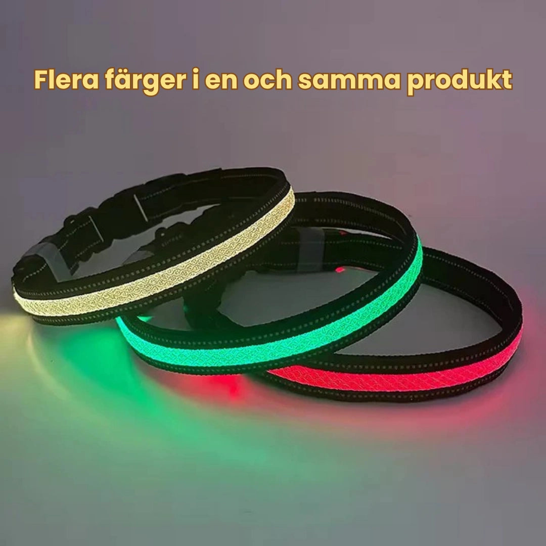 LunaPaw Halsband med LED-belysning Flera färger i en och samma produkt - Djurslottet