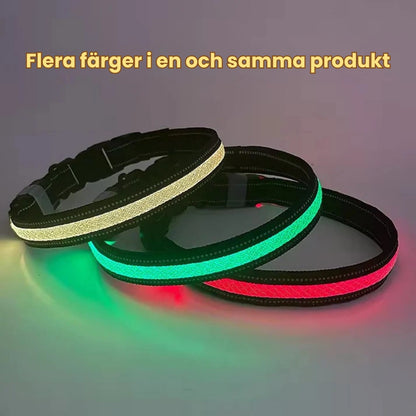 LunaPaw Halsband med LED-belysning Flera färger i en och samma produkt - Djurslottet