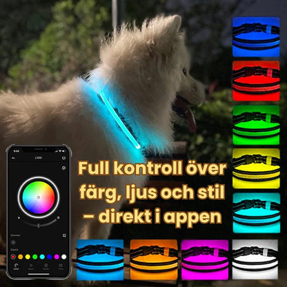LunaPaw Halsband med LED-belysning Full kontroll över färg, ljus och stil – direkt i appen - Djurslottet