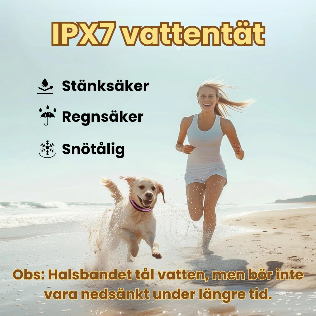 LunaPaw Halsband med LED-belysning IPX7 Vattentat - Djurslottet