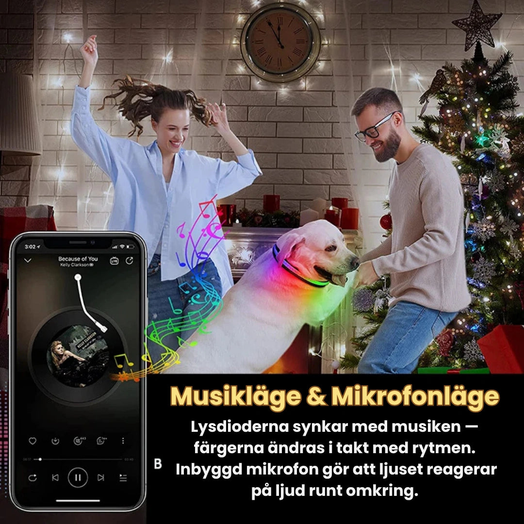 LunaPaw Halsband med LED-belysning Musikläge & Mikrofonläge - Djurslottet