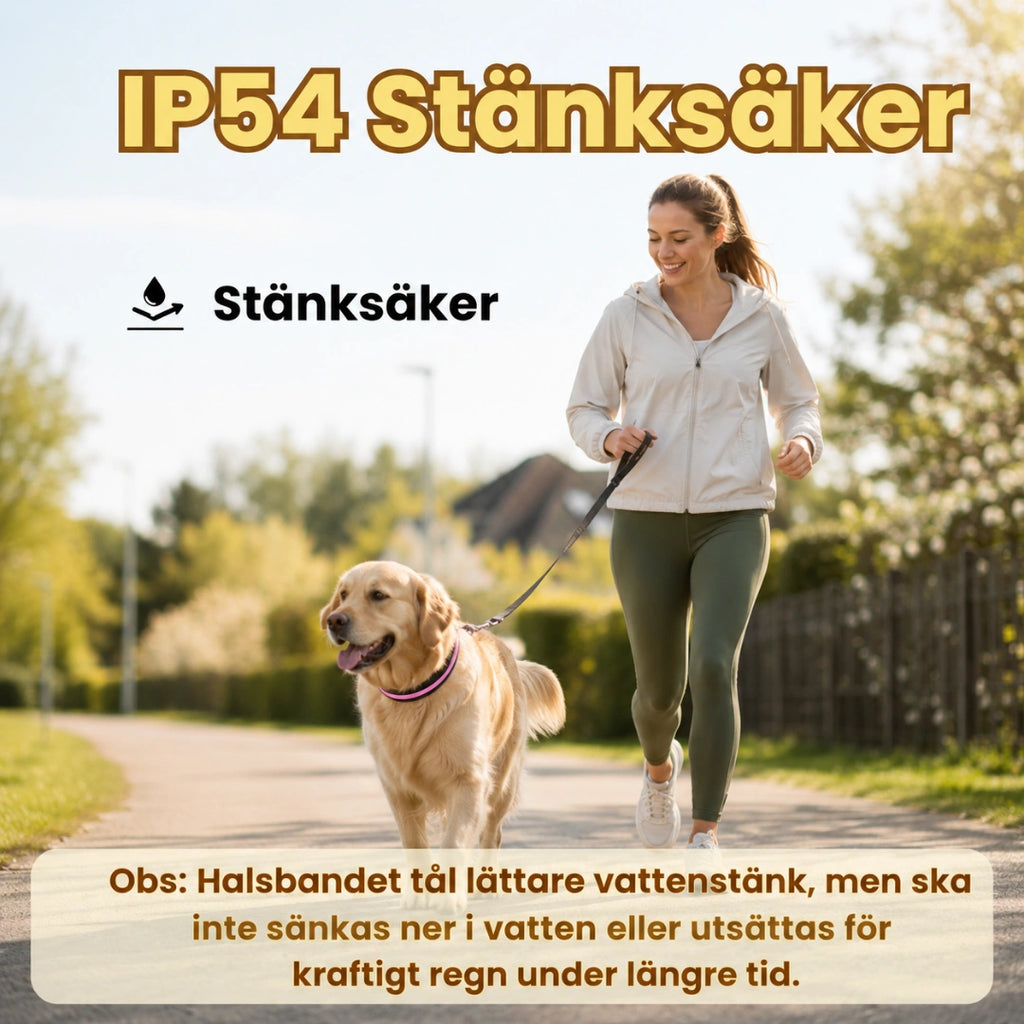 LunaPaw LED Halsband till Hund IP54 - Djurslottet
