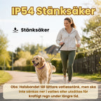 LunaPaw LED Halsband till Hund IP54 - Djurslottet