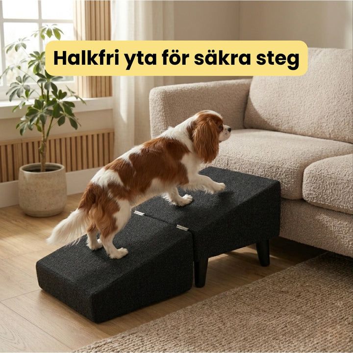 Lunatto Hundramp Halkfri yta för säkra steg - Djurslottet