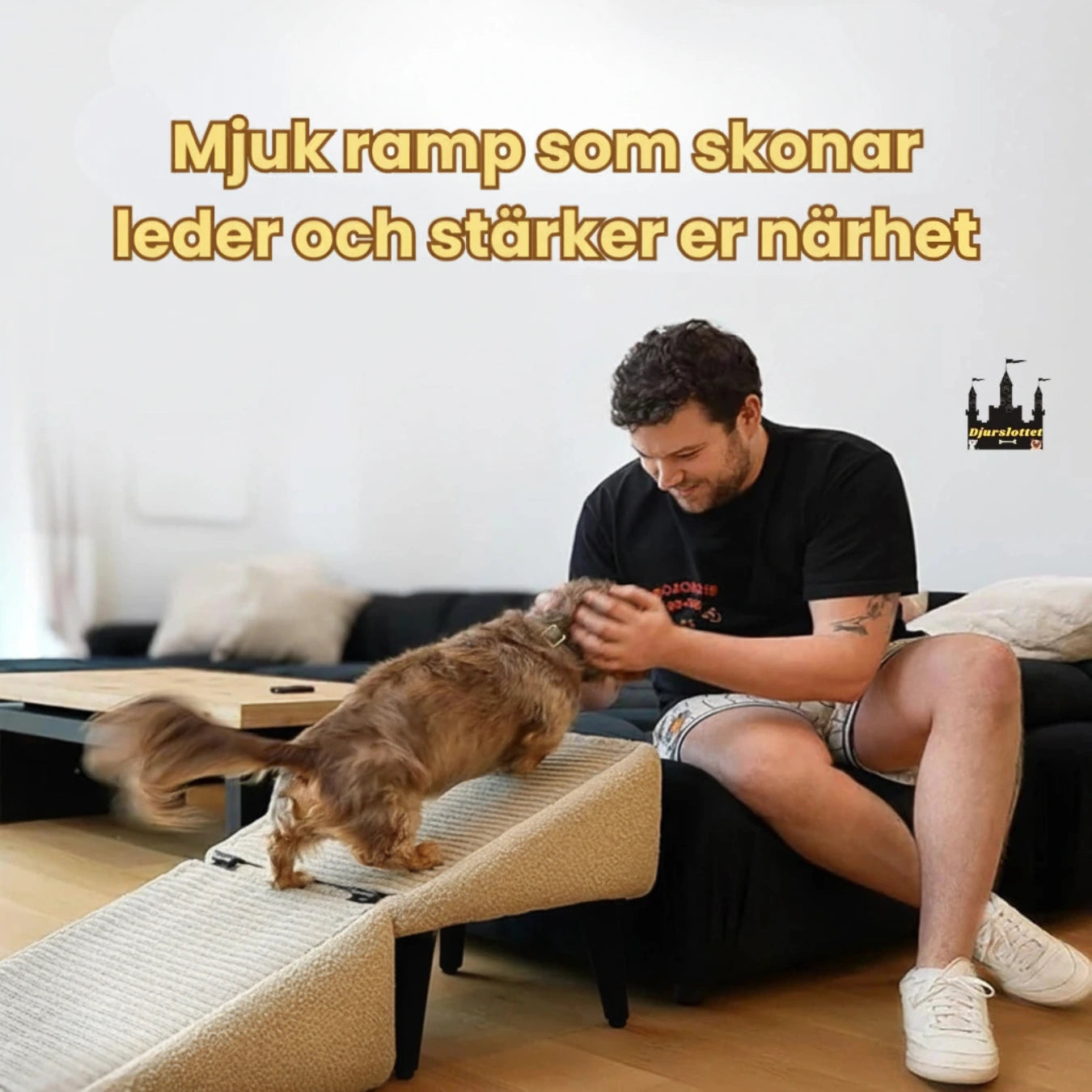 Lunatto Hundramp med Sittpuff i ett - Mjuk ramp som skonar leder och stärker er närhet -Djurslottet