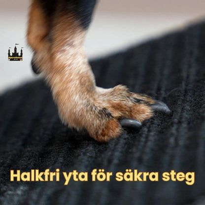 Lunatto Hundramp med Sittpuff i ett - Halkfri yta för säkra steg - Djurslottet